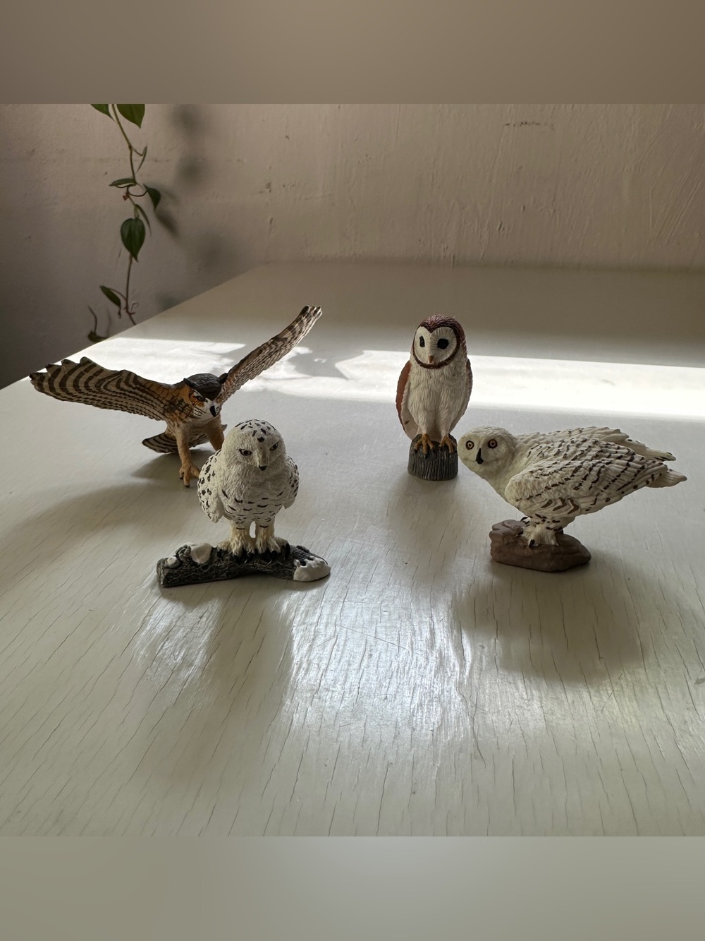 Safari & Schleich Owl Figure Toys Set of 4